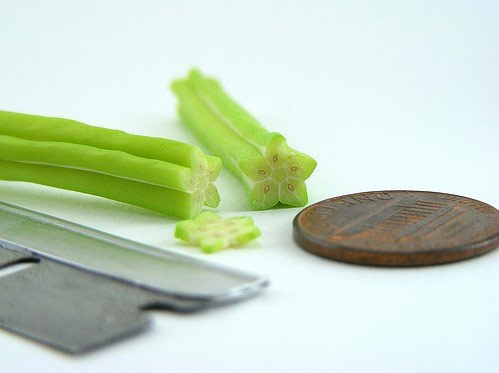 Some Delicate Food Model