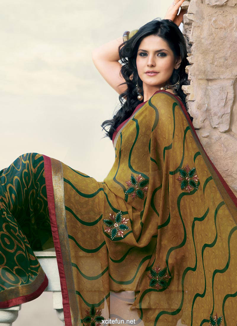 Zarine Khan Glorious Saree  HQ Images