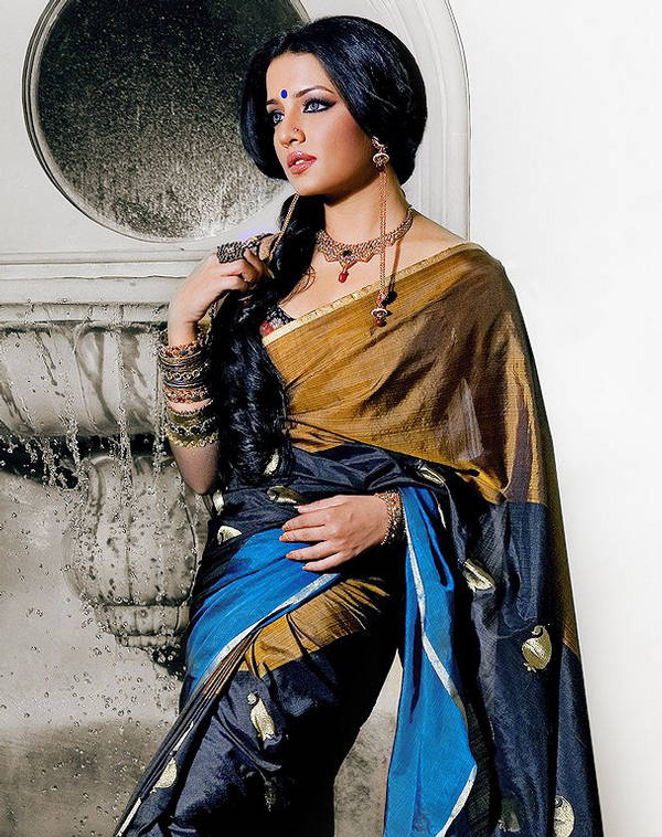 Sari-ul indian & bijuterii indiene  193025,xcitefun-celina-jaitley-saree-01