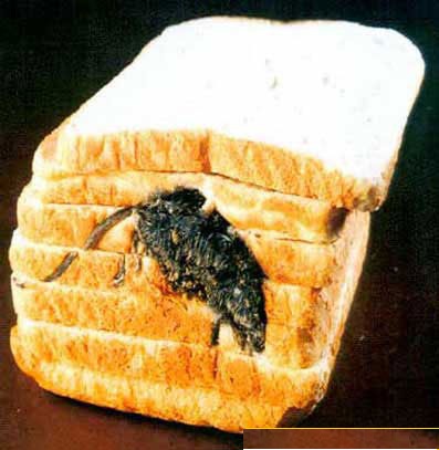 194668,xcitefun-mouse-toast.jpg