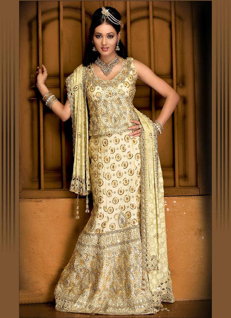 beautiful choli