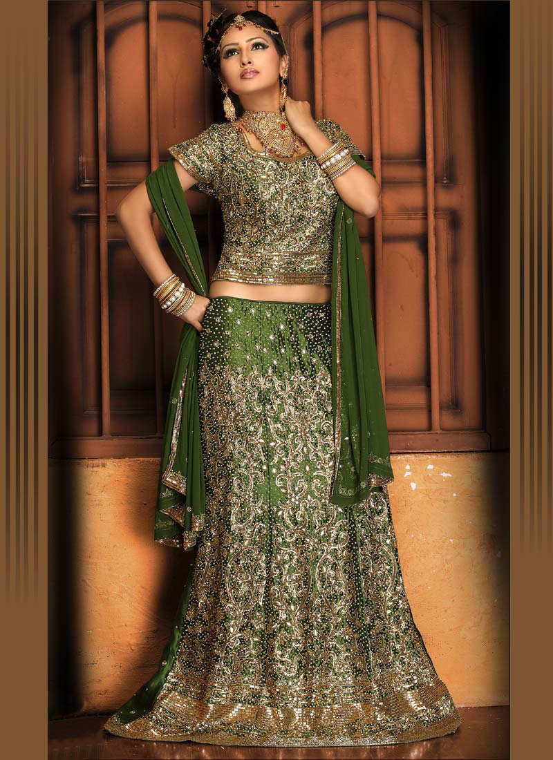 beautiful choli