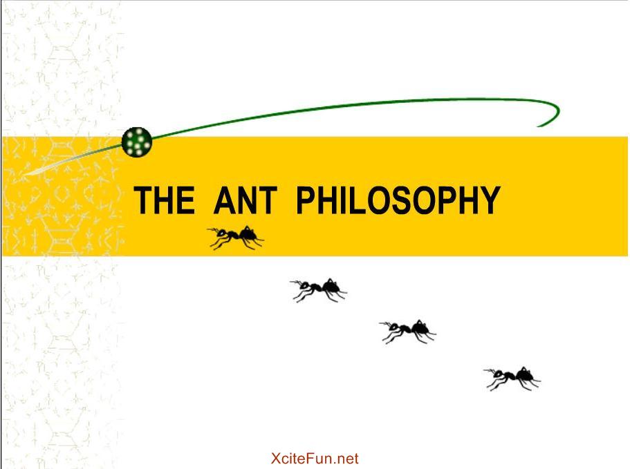ants philosophy