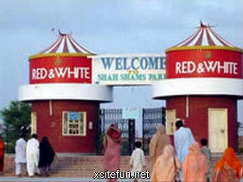 Bzu University Multan