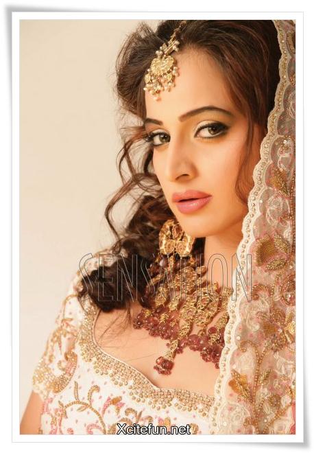 noor wedding pictures pakistani actress 