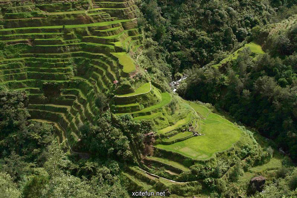 Banaue Rice Terraces Banaue