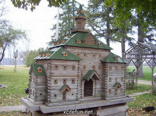 Unique Bird Houses