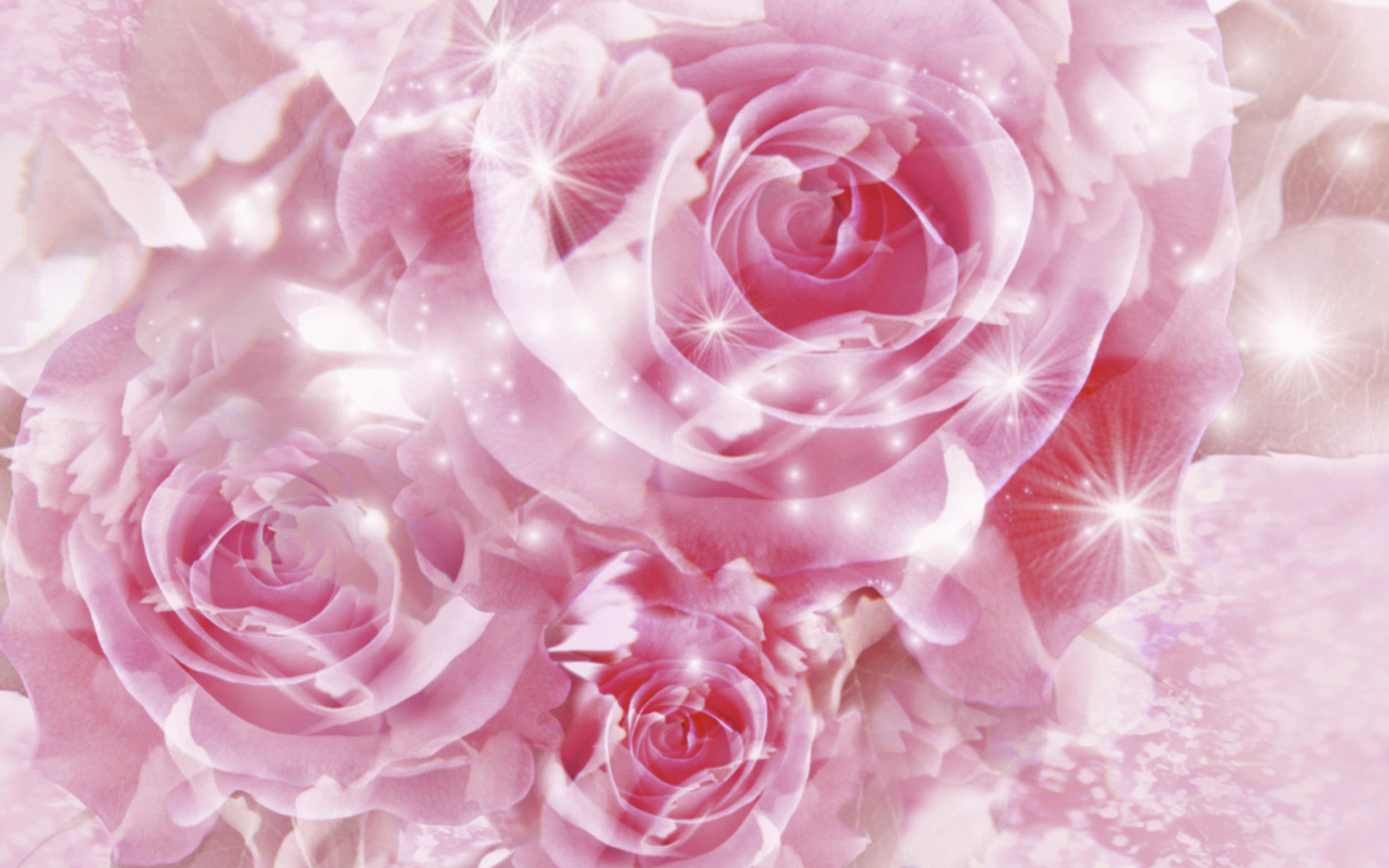 バラ 19x10 5月の花の美しい壁紙画像集 バラ カーネーション壁紙 無料ダウンロード 母の日 Naver まとめ