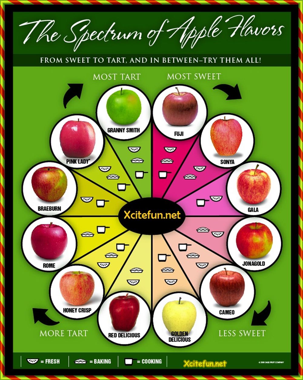 The Spectrum Of Apple Flavors Types Of Apple XciteFun