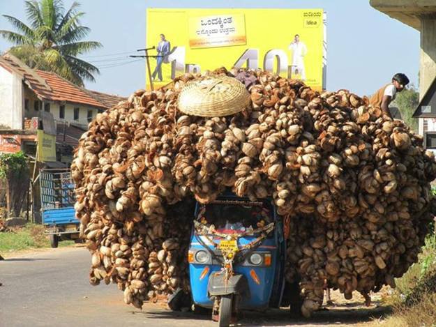 Malinga copied his hairstyle from this