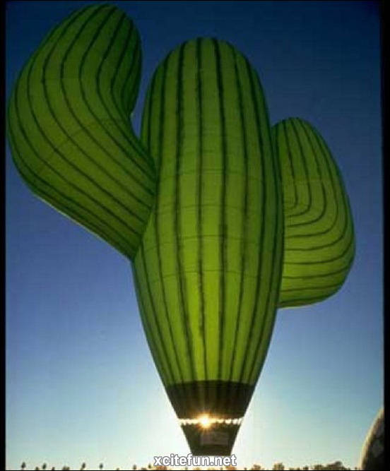 Hot Air Balloons  Funny Designs