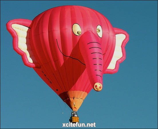 Hot Air Balloons  Funny Designs