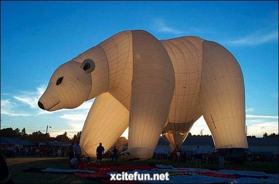 Hot Air Balloons  Funny Designs