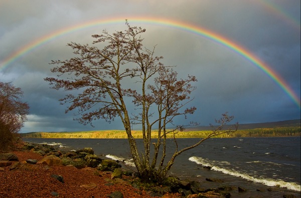 Wonderful Rainbow  Colors of Nature