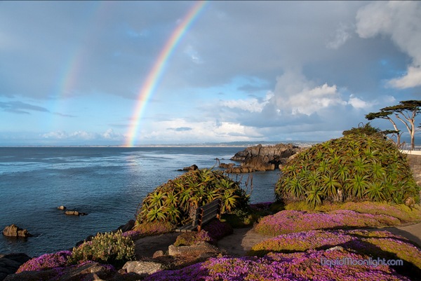 Wonderful Rainbow  Colors of Nature