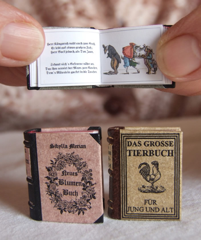 Worlds Smallest Library  Worlds Small Books