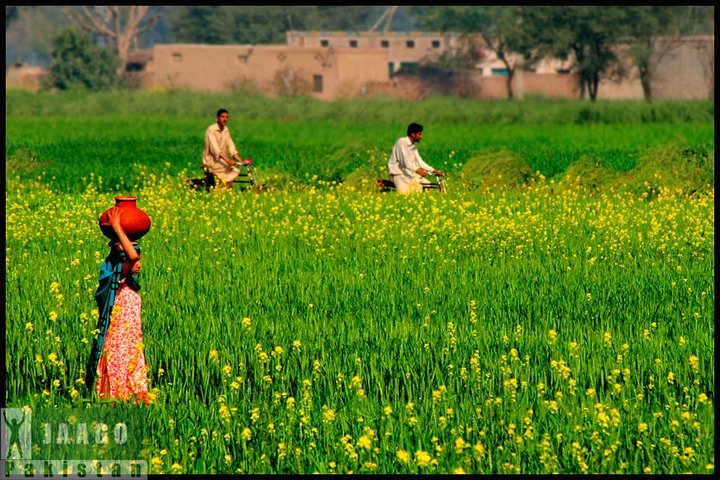 Hinaahmad pakistan punjab female photo