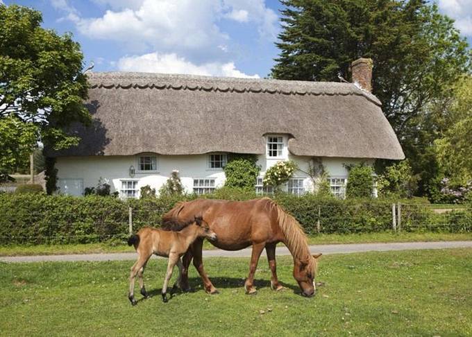 Fairy Homes in British province