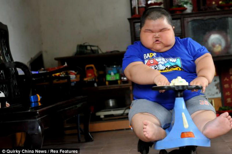 The Fattest Boy Lu Hao XciteFun the-fattest-boy-lu-hao-xcitefun