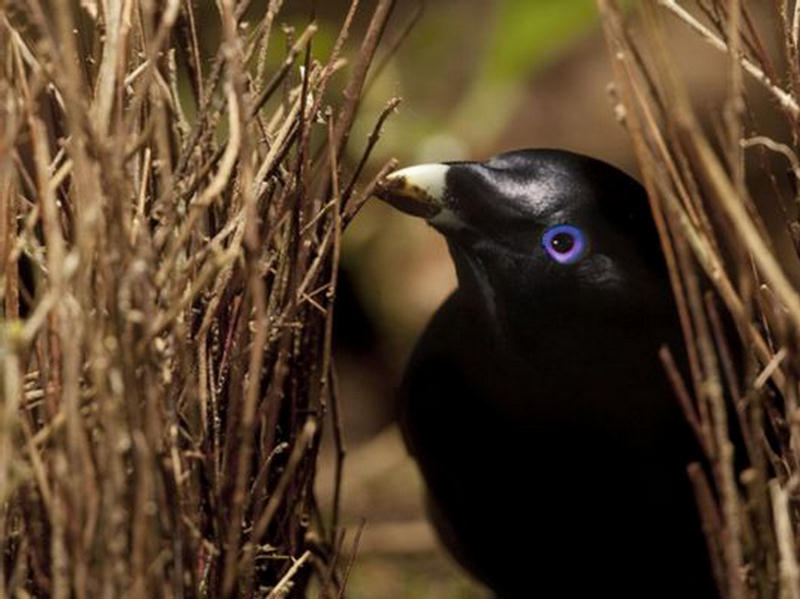 National Geographic Photos Of The Month