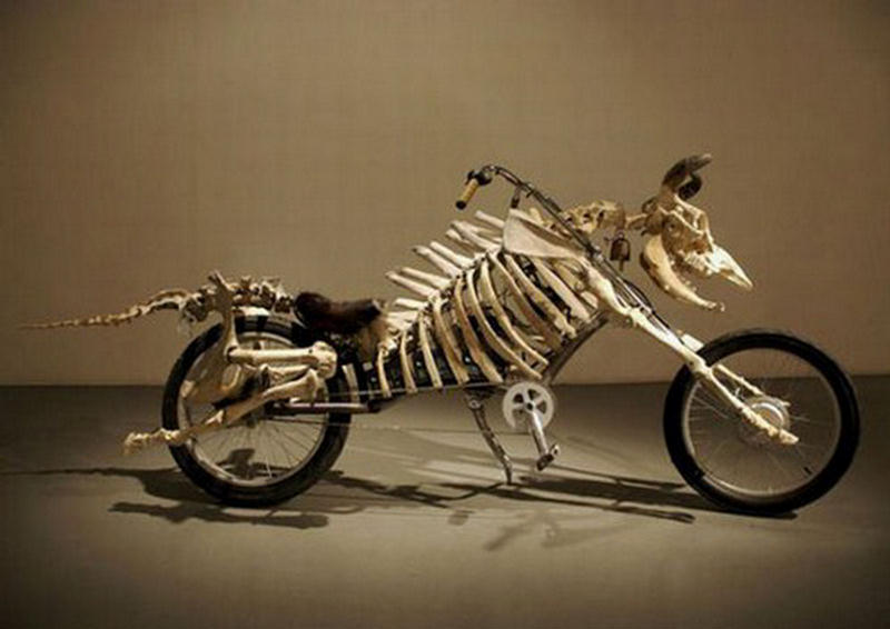 دراجات تبدو مثل الحيوانات  Bikes that look like animals 249323,xcitefun-bikes-that-look-like-animals-006