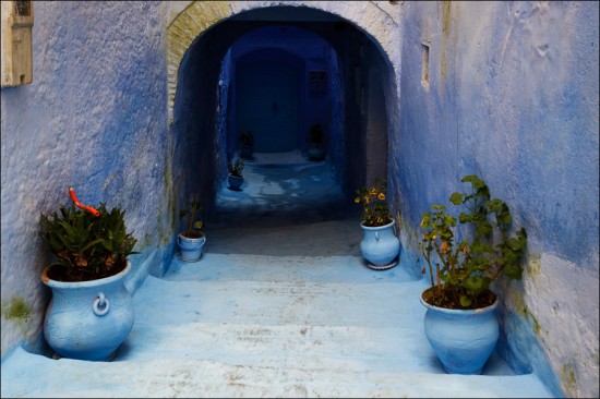 blue morocco