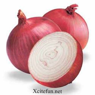 251654,xcitefun-fresh-onion.jpg