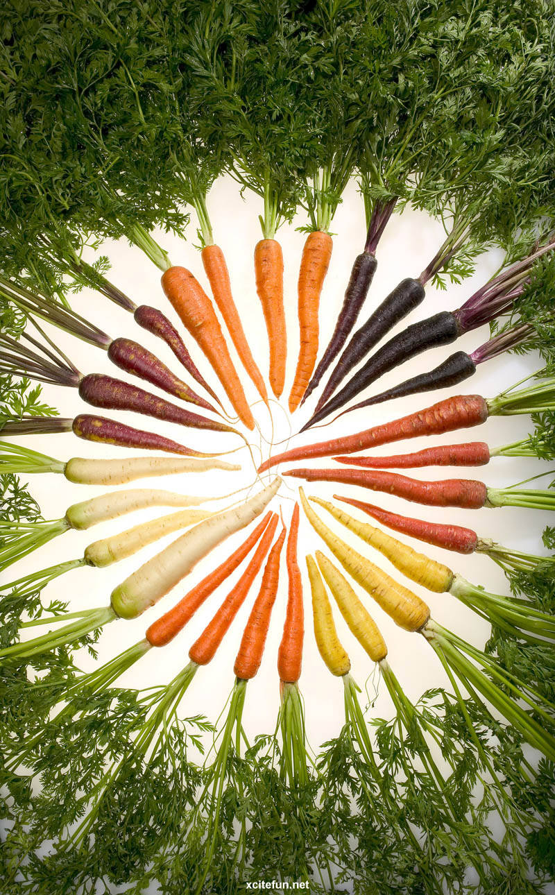 Rainbow Carrots