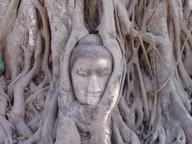 wat mahathat temple