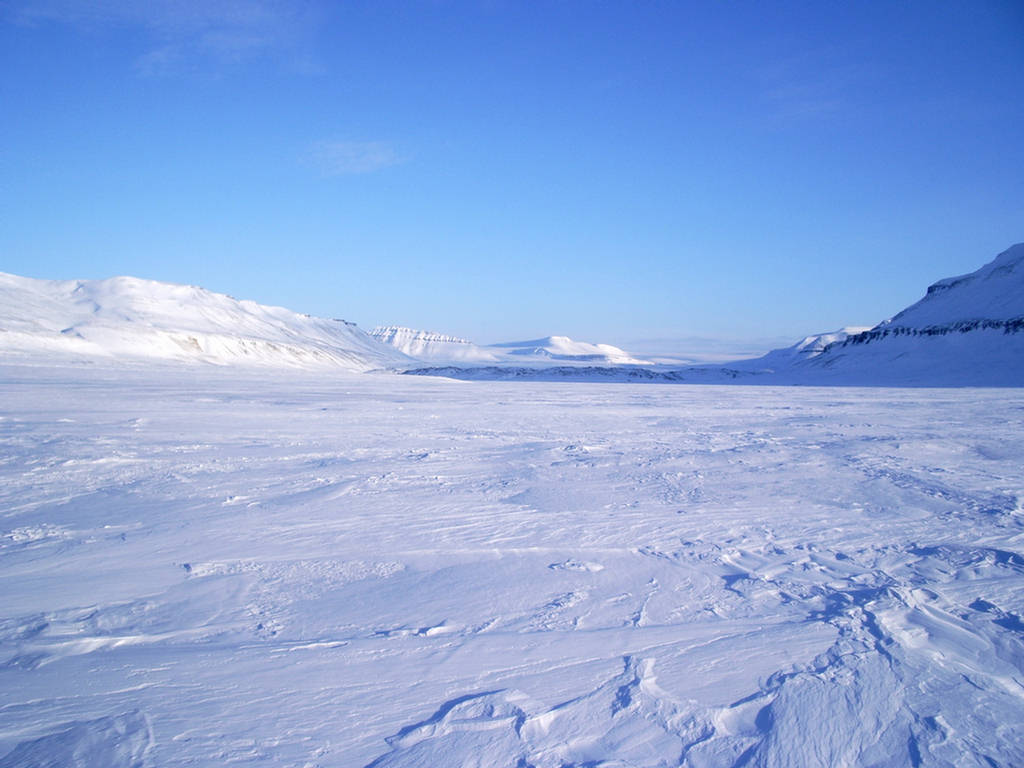 Arctic Ice Desert : Alaska Russia Canada Greenland Iceland - MeraForum