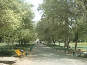 BagheJinnah Park Lahore  Images amp Detail