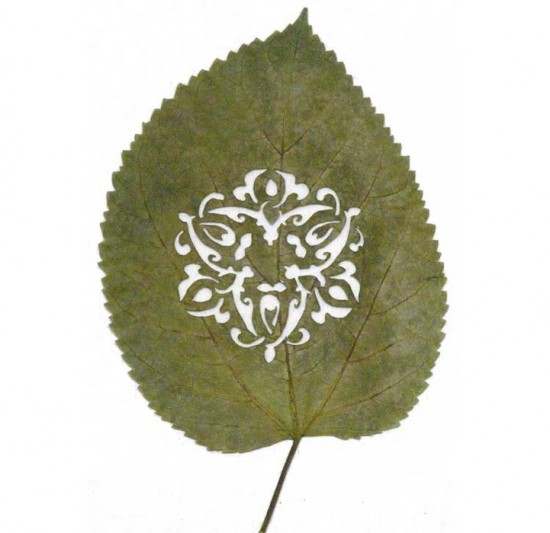 The CutAway Leaf Art