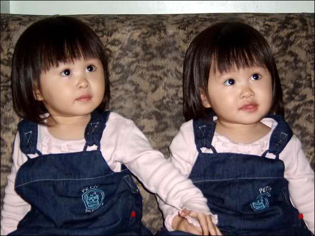 Lovely Twins In The World