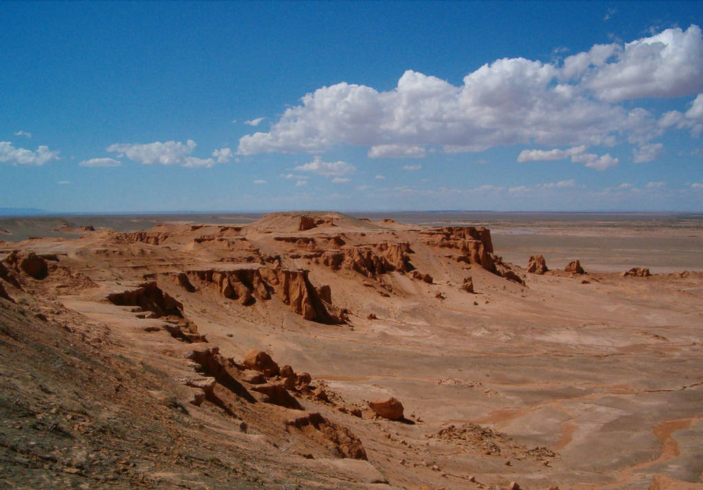 What Is Gobi Desert