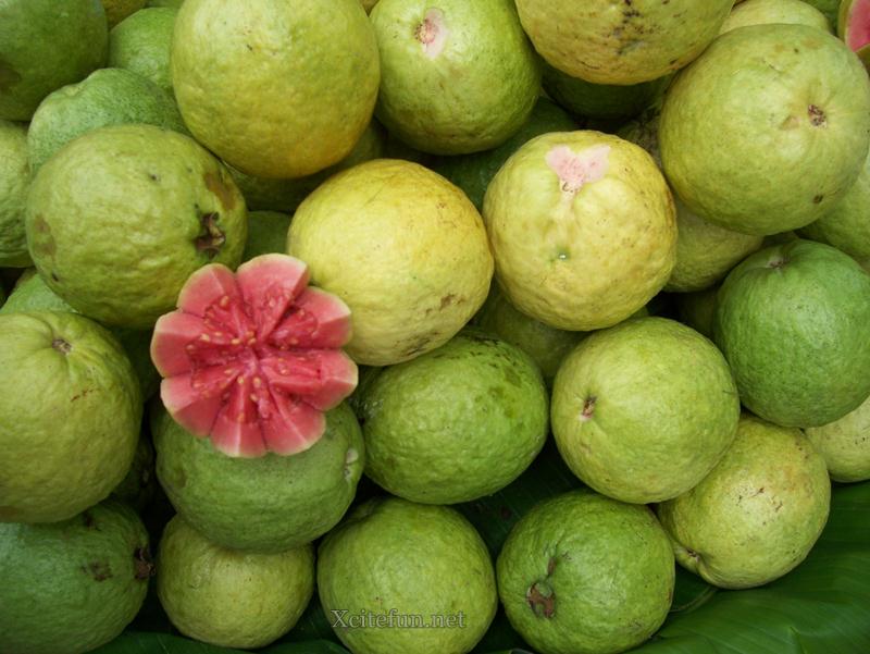 guava-fruit-benefits-and-nutrition-facts-xcitefun