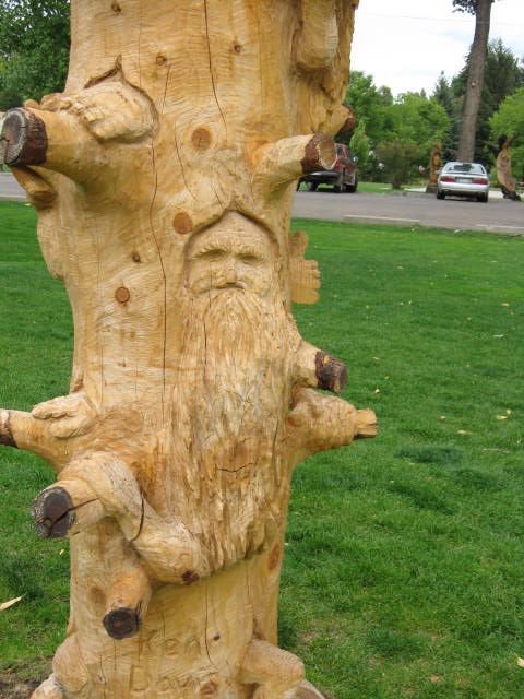 Old Cottonwood Trees Art Old Cottonwood Trees Art