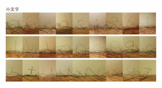 Leg Hair Font Art