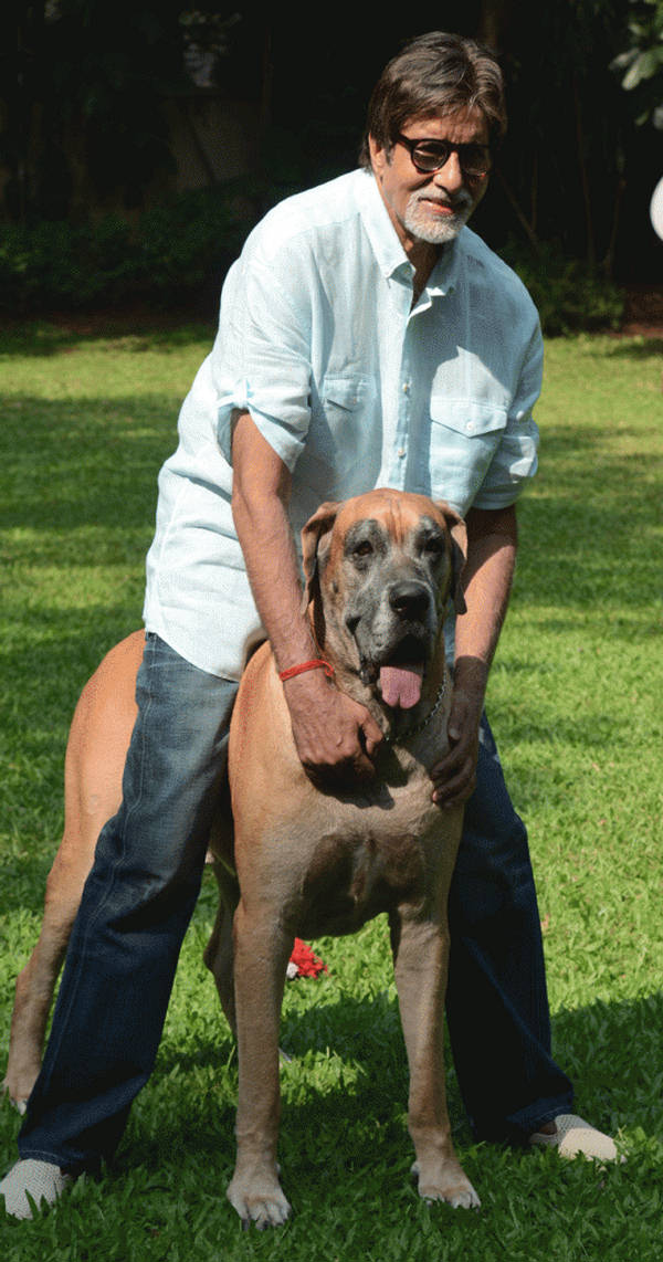 Amitabh Bachchan with His Dog Shanouk