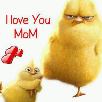 Love   Backgrounds on Love You Mom   Funny  Strange