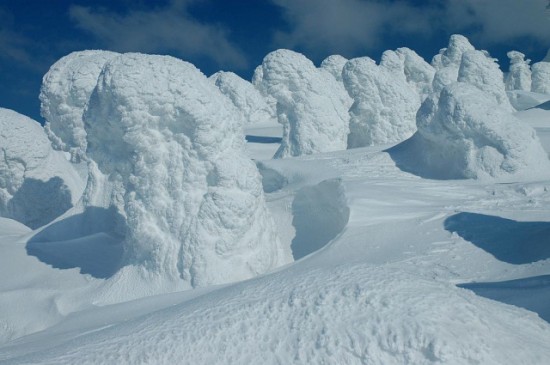 Juhyou Snow Monsters of Japan