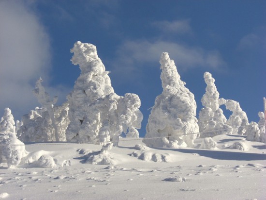 Juhyou Snow Monsters of Japan