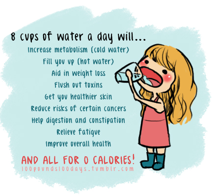 8 Cup of Water A Daily Will