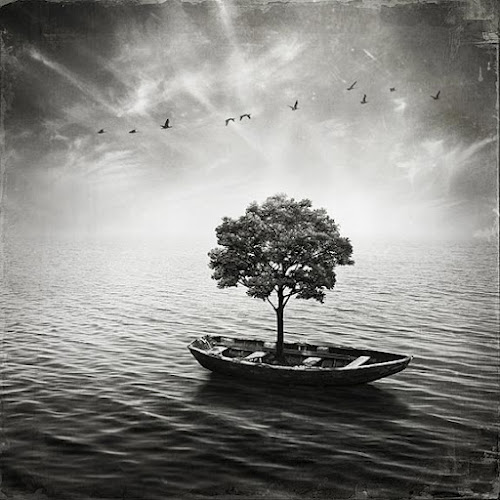 DreamLike Photo Manipulations