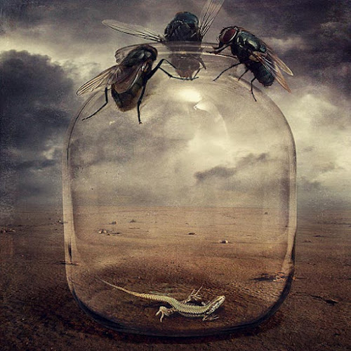 DreamLike Photo Manipulations