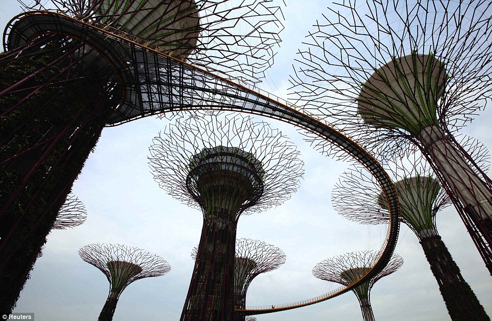 Singapores Super Forest