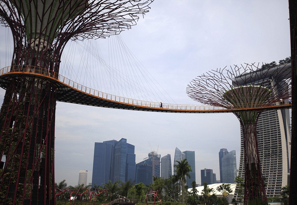 Singapores Super Forest