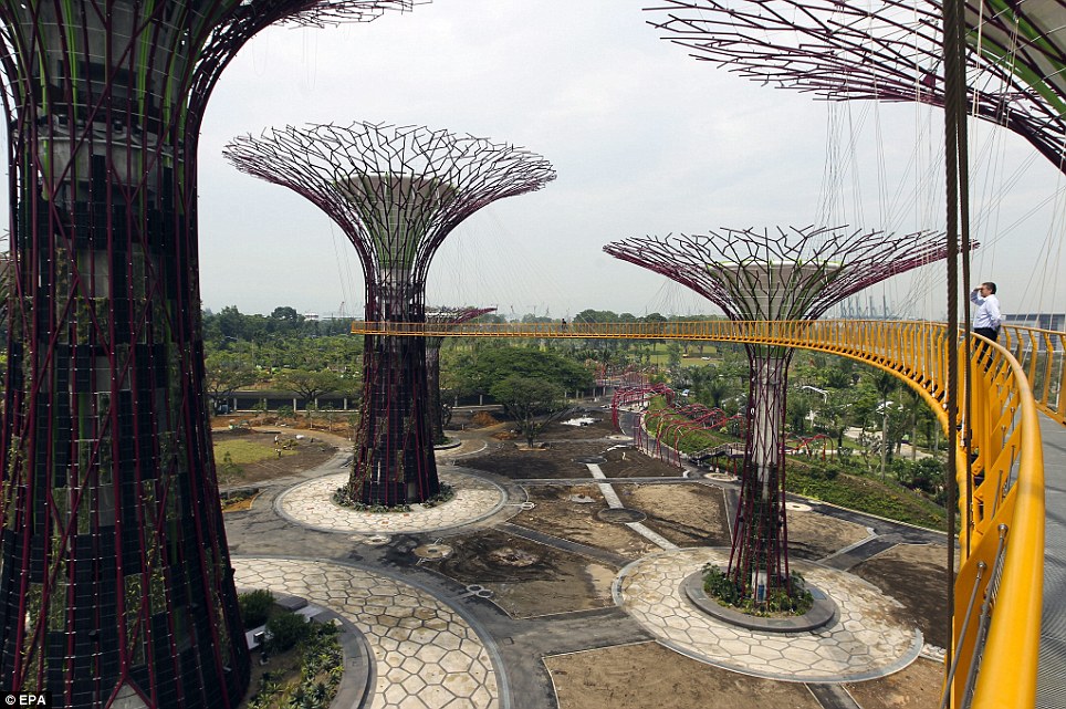 Singapores Super Forest