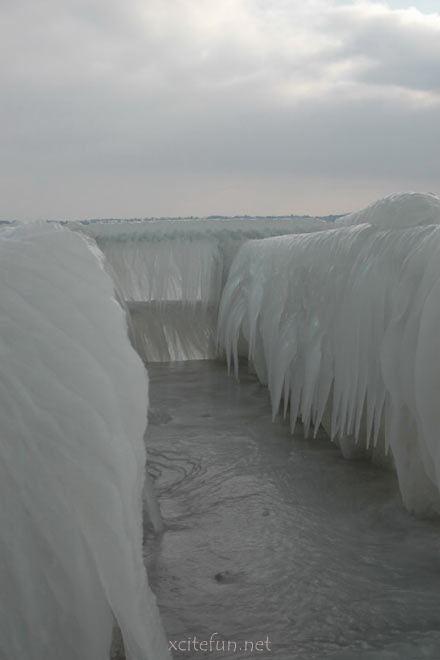 Ice Storm Beautiful photo - XciteFun.net