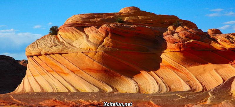 Coyote Buttes  The Wavy Rocks Photos