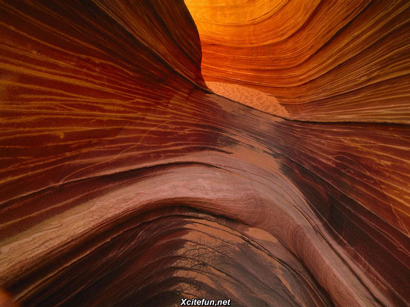 Coyote Buttes  The Wavy Rocks Photos